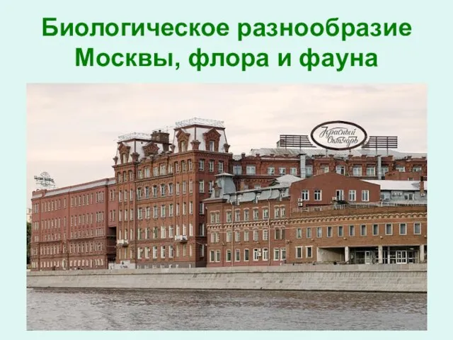 Биологическое разнообразие Москвы, флора и фауна