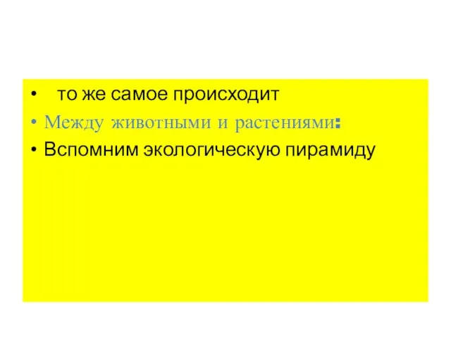 то же самое происходит Между животными и растениями: Вспомним экологическую пирамиду