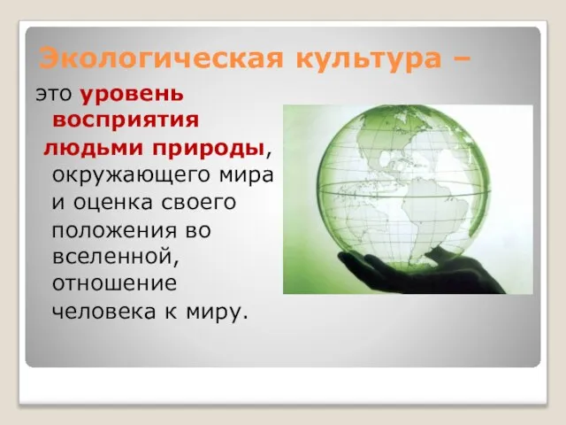 Экологическая культура – это уровень восприятия людьми природы, окружающего мира и оценка