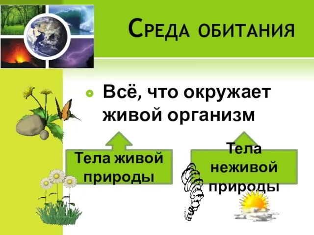 Среда обитания Всё, что окружает живой организм Тела живой природы Тела неживой природы