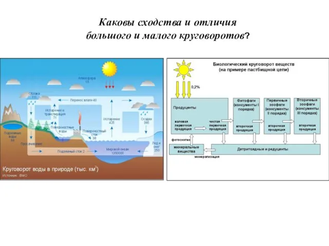 Каковы сходства и отличия большого и малого круговоротов?