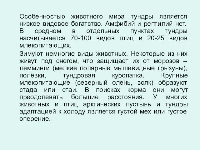 Особенностью животного мира тундры является низкое видовое богатство. Амфибий и рептилий нет.