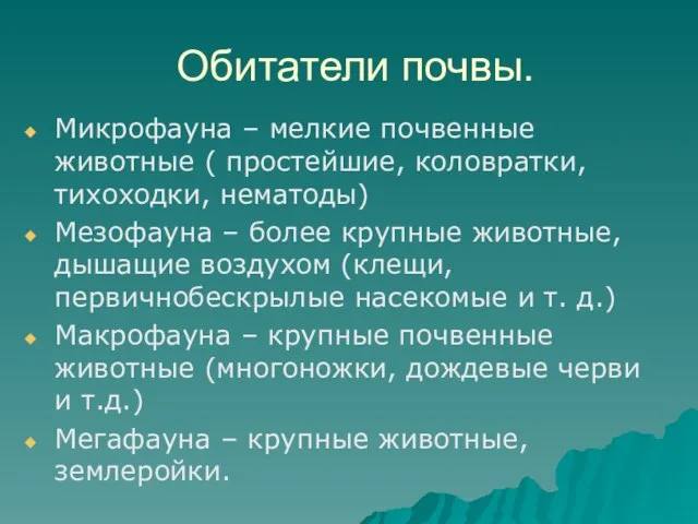 Обитатели почвы. Микрофауна – мелкие почвенные животные ( простейшие, коловратки, тихоходки, нематоды)