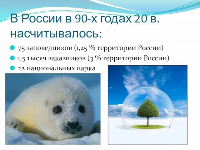 В России в 90-х годах 20 в. насчитывалось: 75 заповедников (1,25 %