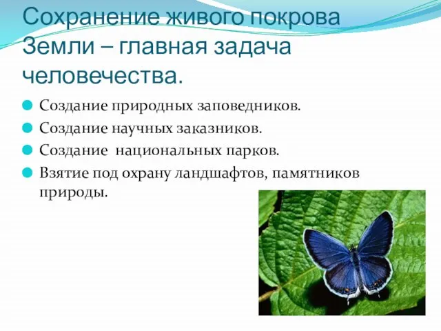 Сохранение живого покрова Земли – главная задача человечества. Создание природных заповедников. Создание