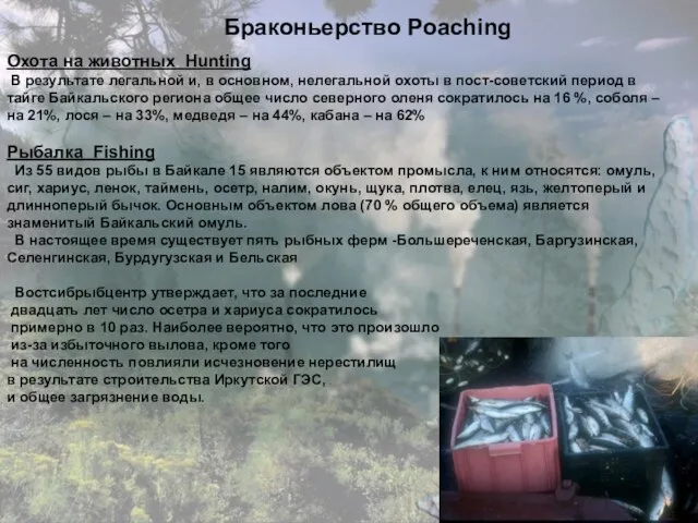 Браконьерство Poaching Охота на животных Hunting В результате легальной и, в основном,