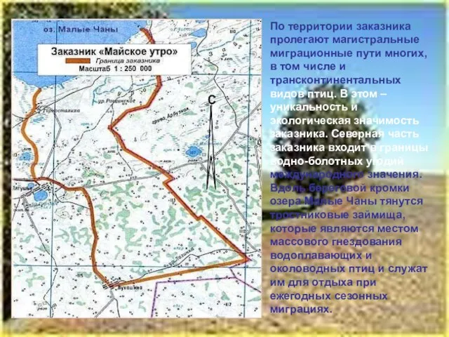 По территории заказника пролегают магистральные миграционные пути многих, в том числе и