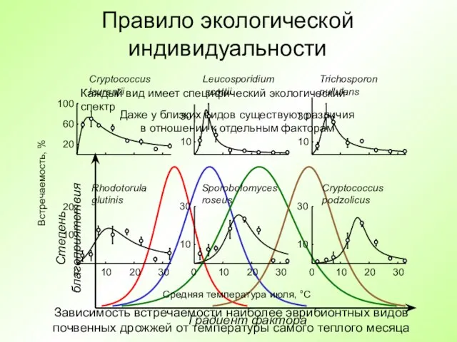 Правило экологической индивидуальности Каждый вид имеет специфический экологический спектр Даже у близких