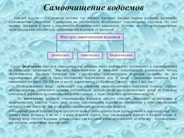 Самоочищение водоемов Каждый водоем – это сложная система, где обитают бактерии, высшие