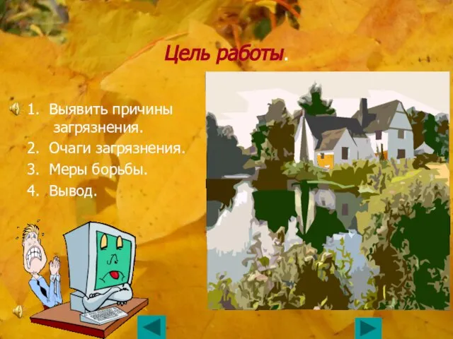 Цель работы. 1. Выявить причины загрязнения. 2. Очаги загрязнения. 3. Меры борьбы. 4. Вывод.