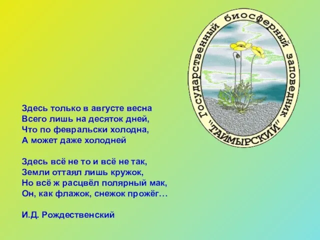 Здесь только в августе весна Всего лишь на десяток дней, Что по