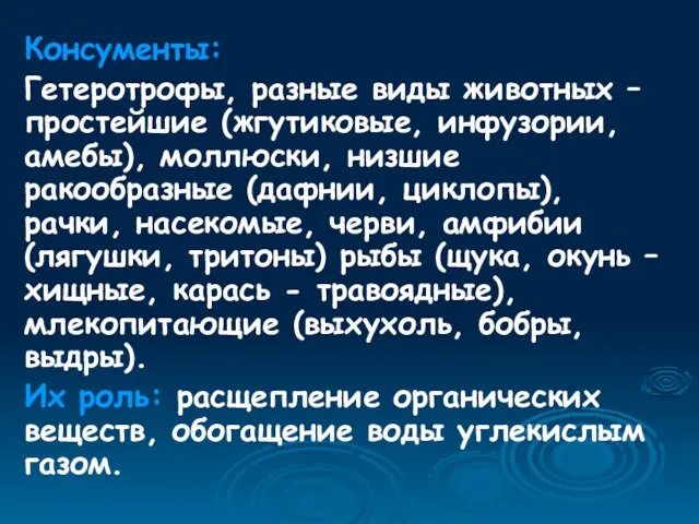 Консументы: Гетеротрофы, разные виды животных – простейшие (жгутиковые, инфузории, амебы), моллюски, низшие