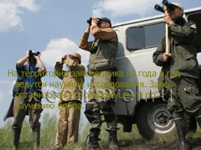 На территории заповедника из года в год ведутся научные исследования. Здесь организован