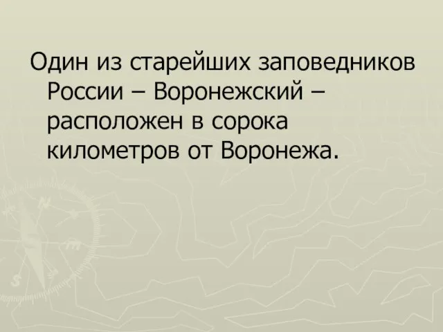 Один из старейших заповедников России – Воронежский – расположен в сорока километров от Воронежа.