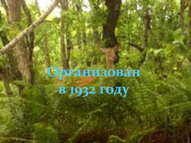 Организован в 1932 году