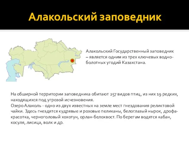 Алакольский заповедник Алакольский Государственный заповедник – является одним из трех ключевых водно-болотных