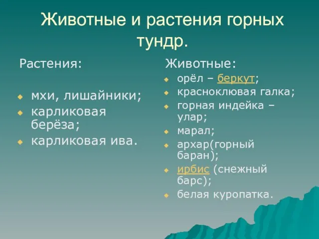 Животные и растения горных тундр. Растения: мхи, лишайники; карликовая берёза; карликовая ива.