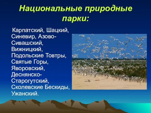 Национальные природные парки: Карпатский, Шацкий, Синевир, Азово-Сивашский, Вижницкий, Подольские Товтры, Святые Горы,