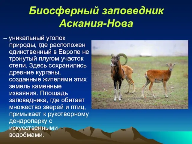 Биосферный заповедник Аскания-Нова – уникальный уголок природы, где расположен единственный в Европе