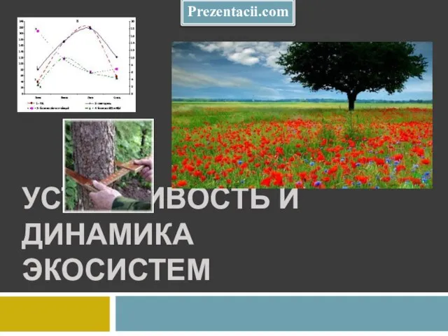 Презентация на тему Устойчивость и динамика экосистем