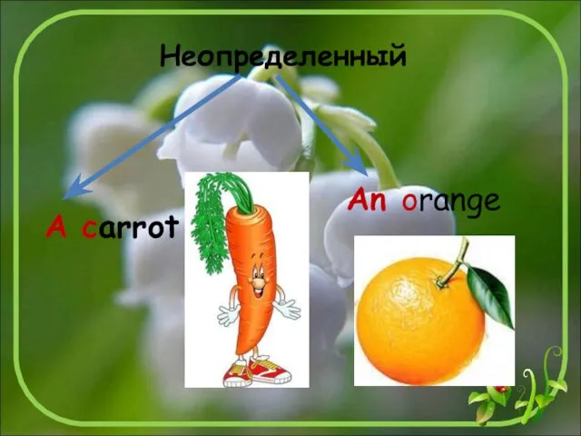 An orange Неопределенный A carrot