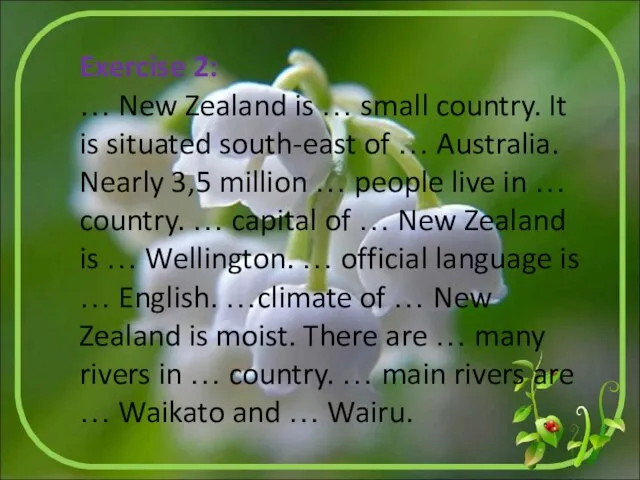 Exercise 2: … New Zealand is … small country. It is situated