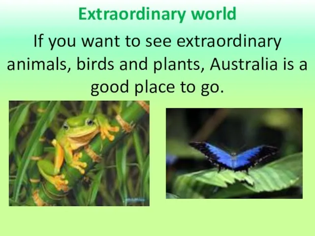 Extraordinary world If you want to see extraordinary animals, birds and plants,