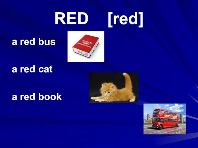 RED [red] a red bus a red cat a red book