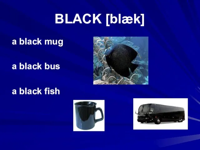 BLACK [blæk] a black mug a black bus a black fish