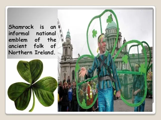 Shamrock is an informal national emblem of the ancient folk of Northern Ireland.