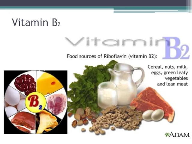 Vitamin B2