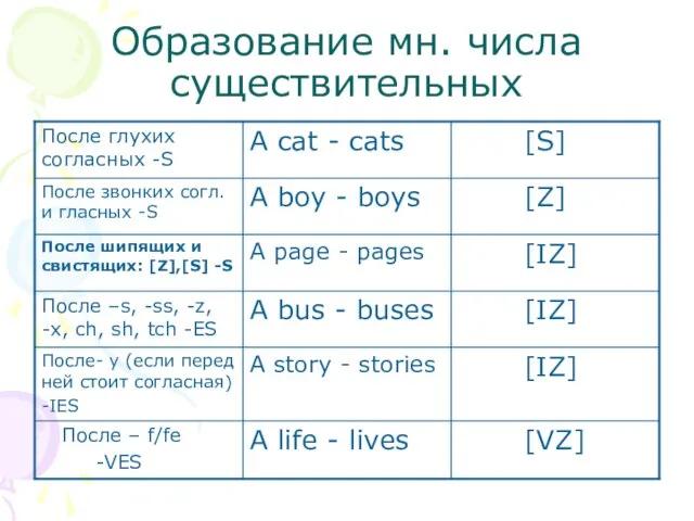 Образование мн. числа существительных