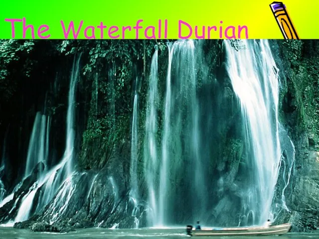 The Waterfall Durian