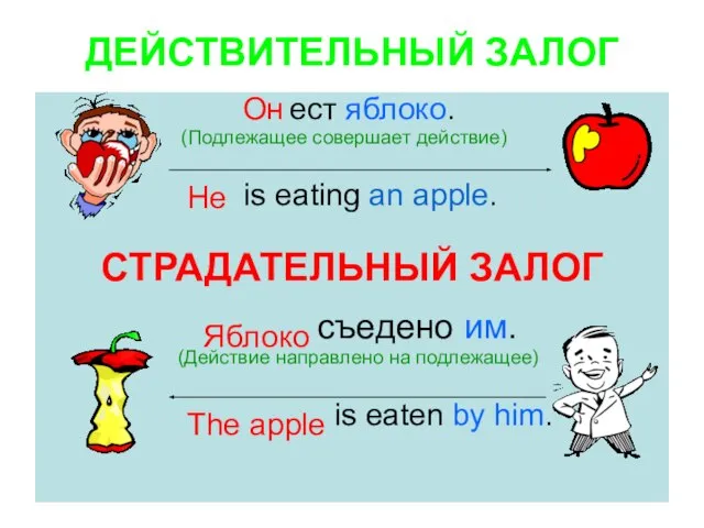 ДЕЙСТВИТЕЛЬНЫЙ ЗАЛОГ ест яблоко. (Подлежащее совершает действие) is eating an apple. СТРАДАТЕЛЬНЫЙ