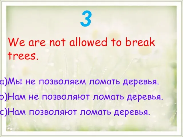 We are not allowed to break trees. Мы не позволяем ломать деревья.