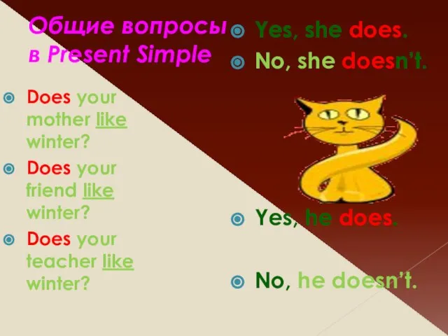 Общие вопросы в Present Simple Does your mother like winter? Does your