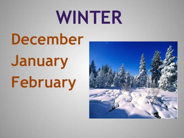 Winter December January February