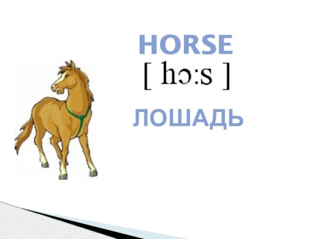 HORSE ЛОШАДЬ