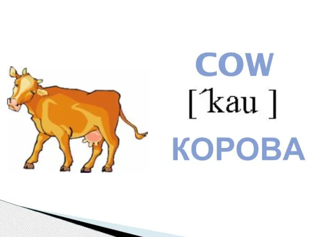 COW КОРОВА