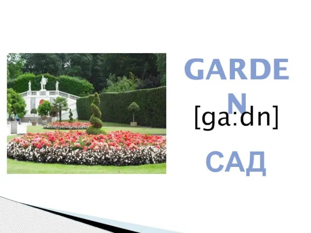 GARDEN [ga:dn] САД