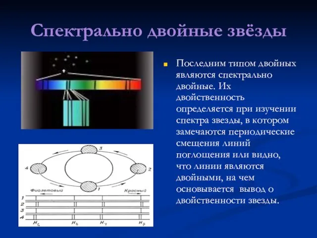 Спектрально двойные звёзды Последним типом двойных являются спектрально двойные. Их двойственность определяется