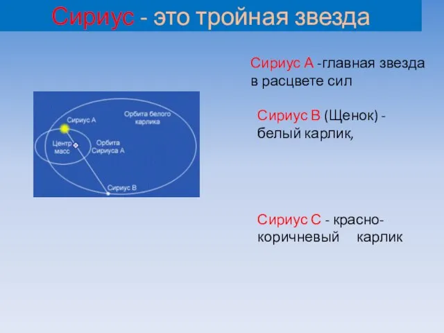 Сириус - это тройная звезда Сириус А -главная звезда в расцвете сил