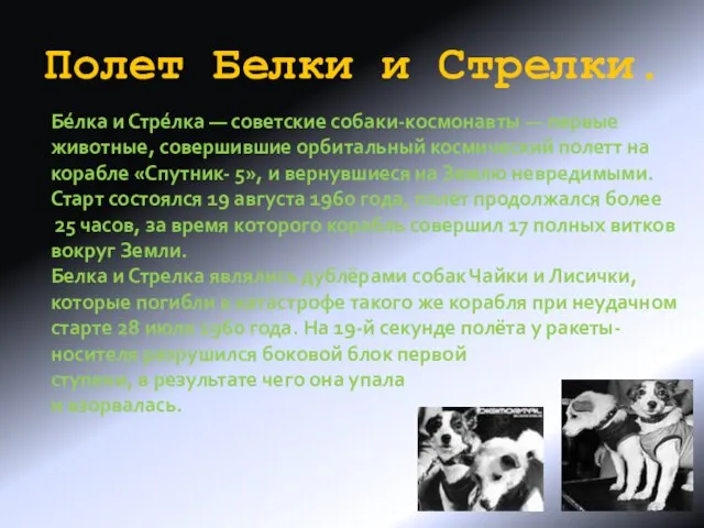 Полет Белки и Стрелки. Бе́лка и Стре́лка — советские собаки-космонавты — первые