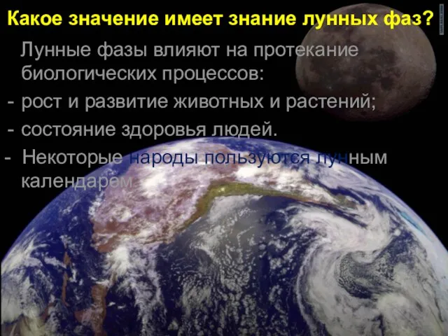 Какое значение имеет знание лунных фаз? Лунные фазы влияют на протекание биологических