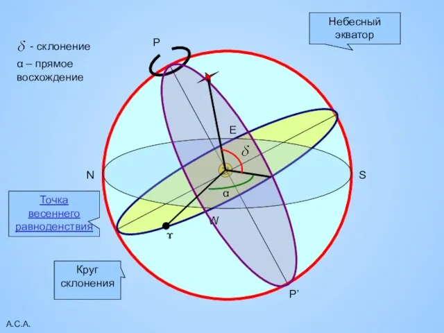 А.С.А. P P’ Небесный экватор W E N S Круг склонения ɤ