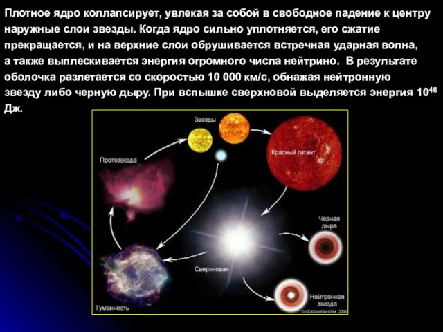 Плотное ядро коллапсирует, увлекая за собой в свободное падение к центру наружные