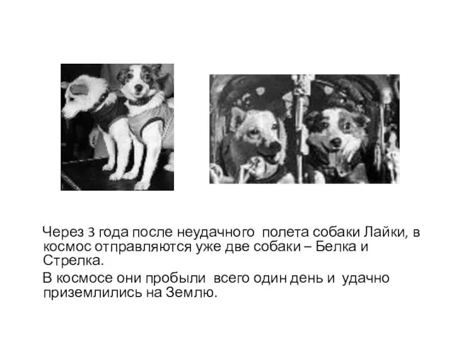 Через 3 года после неудачного полета собаки Лайки, в космос отправляются уже