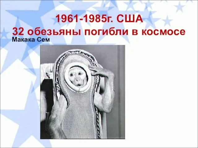 1961-1985г. США 32 обезьяны погибли в космосе Макака Сем