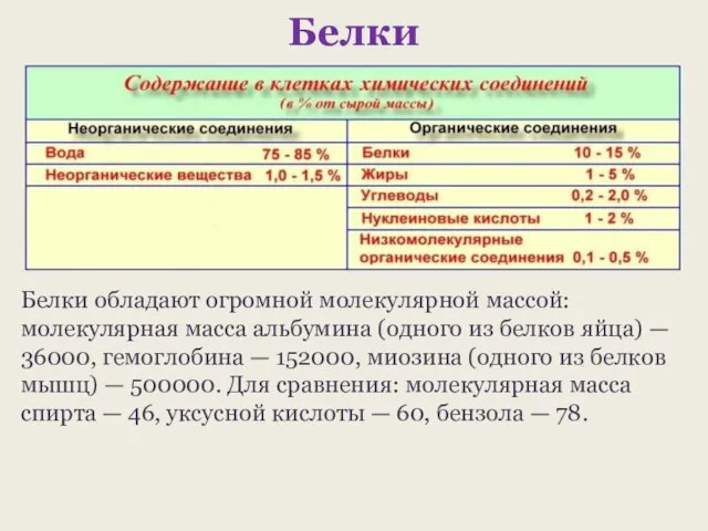 Белки Белки обладают огромной молекулярной массой: молекулярная масса альбумина (одного из белков