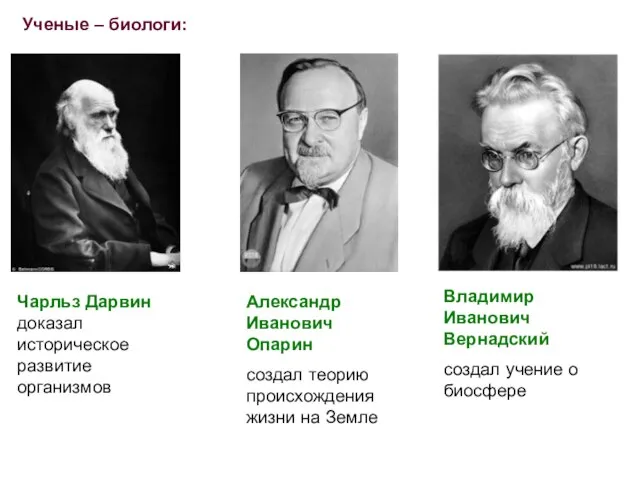 Ученые – биологи: Чарльз Дарвин доказал историческое развитие организмов Александр Иванович Опарин